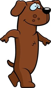 Dachshund Walking Stock Illustration
