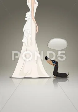 Dachsund and bride Stock Illustration
