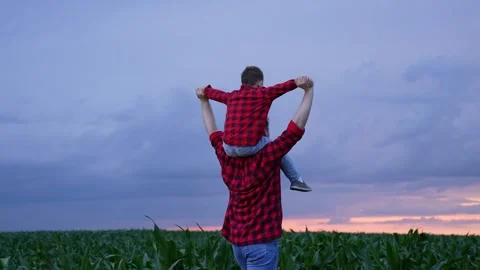 Dad and boy among the corn, both wear red plaid shirts, field extends to the Stock Footage 317193304