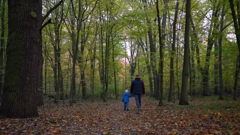 Dad and child strolling through an autumn park Stock Footage 303927008