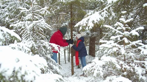 Dad and daughter shake a tree to cause snowfall Stock Footage 129096669