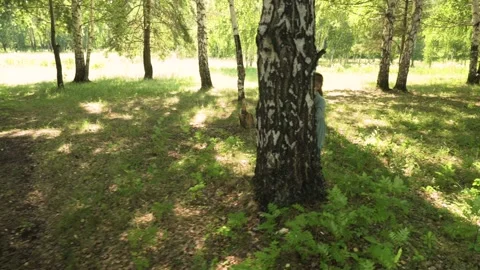 Dad and his five-year-old daughter are playing hide and seek in a forest glade Stock Footage 158839470