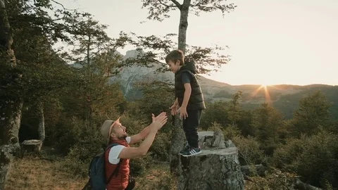 Dad and son are resting in nature Stock Footage 82020508
