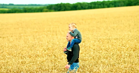 Dad and son are walking along a wheat field, a beautiful landscape with hills Video stock 138968382