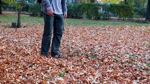 Dad and son play in the fall in the park. yellow leaves underfoot. A loving fath Video stock 97721167
