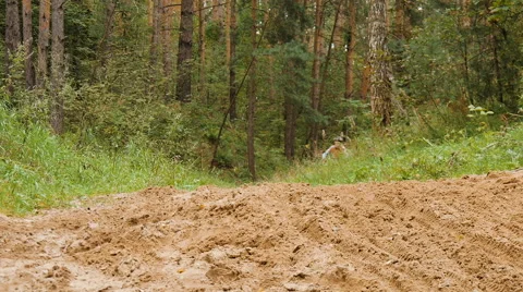 Dad and son riding bikes through the woods Stock Footage 67475855