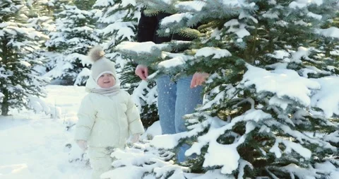 Dad and son stand by a snow-covered forest pine dad brushes off snow from a Stock Footage 257837812