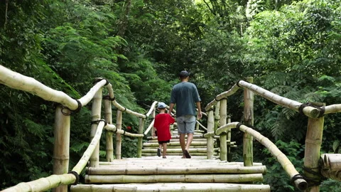 Dad and son walking on the bridge. Green leaves on background Video stock 162932370