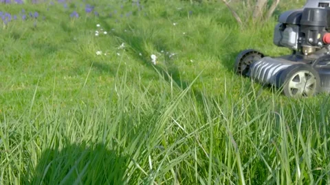 Dad and son work in the lawn mower in the garden Stock Footage 153085811