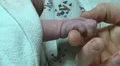 dad caressing newborn infant's hand HD Footage
