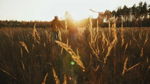 Dad with children running at sunset through high dry reeds grass Stock Footage 164713202