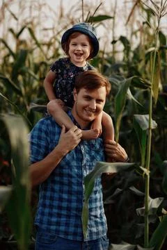 Dad with a little daughter on his shoulders are standing in a cornfield Stock Photos
