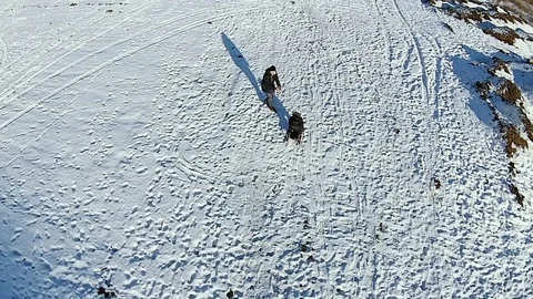 Dad rolls his son on a sled and shoots a video Stock Footage 76003900