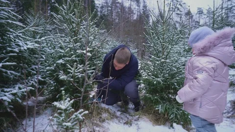 Dad saws christmas tree in winter forest Vidéo 166505211
