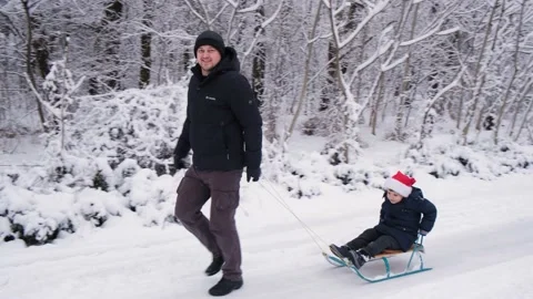 Dad sledding his son at a ski resort in a snow-covered winter forest. Video stock 174824062
