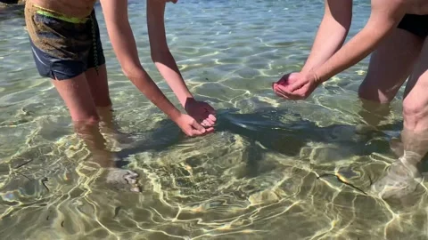 Dad with son activity summer beach holiday. Sea vacation summer water freedom fu Vídeo Stock 162658236