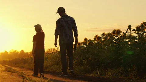 Dad teaches son how to farm. Farmer father walks with his son in sunflower field 스톡 동영상 247127765