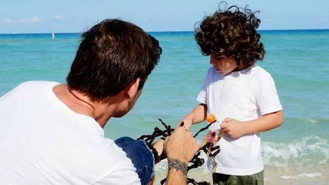 Dad teaching son lessons of the ocean Stock Footage 79226375