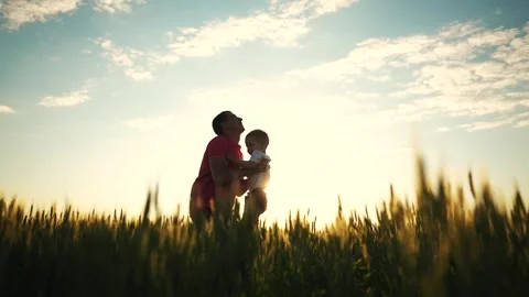 Dad throws his son up. nature field sun glare tall grass. loving dad playing Stock Footage 255310599