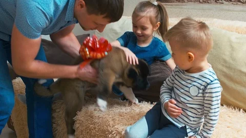 Daddy bringing puppy to children Stock Footage 111152913