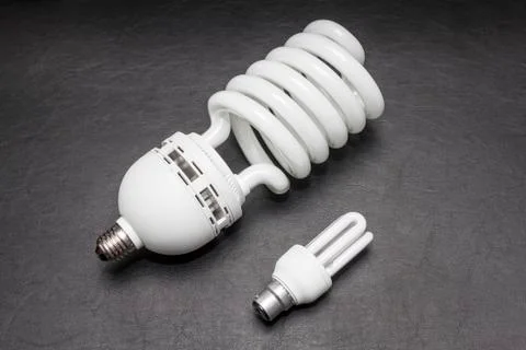 Daddy Bulb-1 Stock Photos