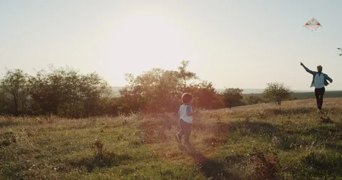 Daddy with his two sons playing with a kite in the middle of flower field. 44 k Video stock 96027984