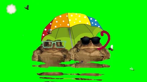 Daddy-Toad catches midges with his tongue. Video stock 135395334