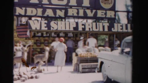 DADE COUNTY FLORIDA-1955: Indian River Fruit Stand With Deer And Shoppers Stock-Footage 123385286
