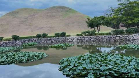 Daereungwon tomb complex with lotus pond in gyeongju, south korea Stock Footage 343066110