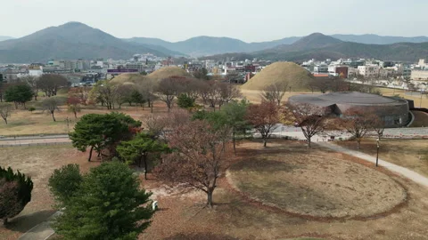 Daereungwon Tomb Complex pond view in winter at Gyeongju, South Korea Video stock 226066525