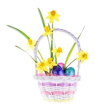 Daffodil and Easter Eggs in Basket - Isolated Stock Photos