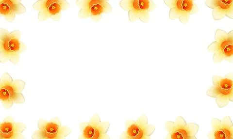 Daffodil flower border frame. Minimal spring floral decorative template Illustrazione stock