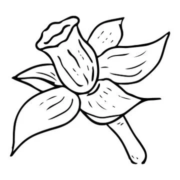 Daffodil flower icon. Vector illustration of spring daffodil. Hand drawn daff Stock Illustration