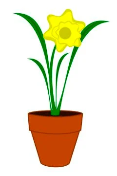 Daffodil flower Stock Illustration