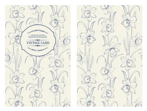 Daffodil flower Stock Illustration