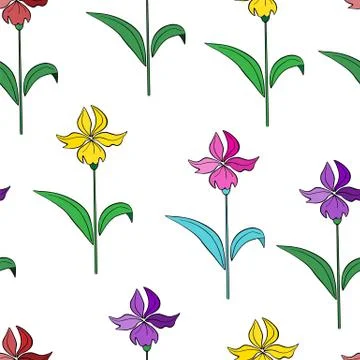 Daffodil flower on a white background. Stock Illustration