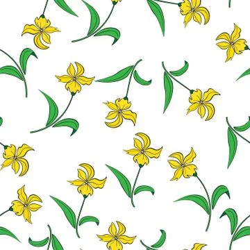 Daffodil flower on a white background. Stock Illustration