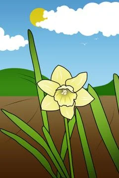 Daffodil Illustration Stock Illustration