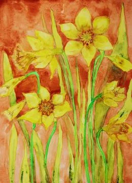 Daffodil with red background. Stock Illustration