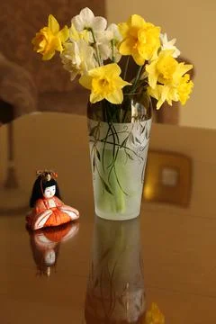 Daffodil in vase12 Stock Photos