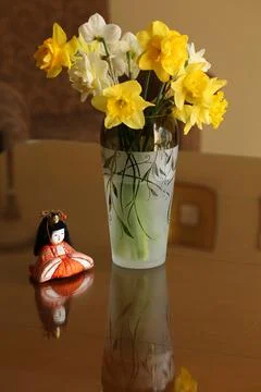 Daffodil in vase2 Stock Photos
