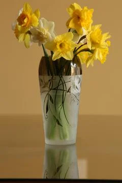Daffodil in vase8 Stock Photos