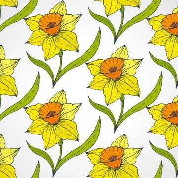 Daffodil Vector seamless patterns Stock Illustration