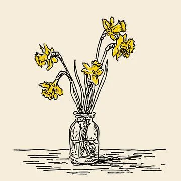 Daffodils 1 Stock Illustration