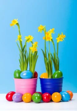 Daffodils and colorful easter eggs Stock Photos