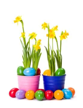 Daffodils and colorful easter eggs Stock Photos