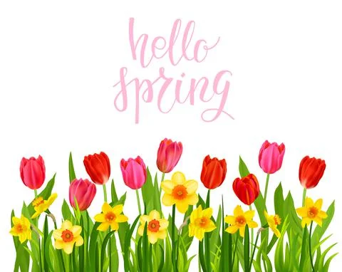 Daffodils and Tulips vector banner Stock Illustration