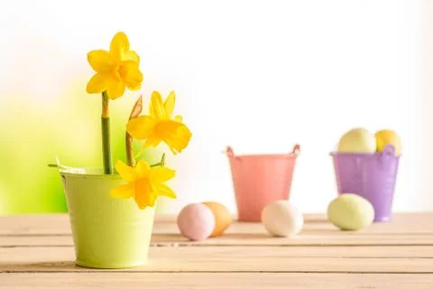 Daffodils in the easter on a wooden table Stock Photos