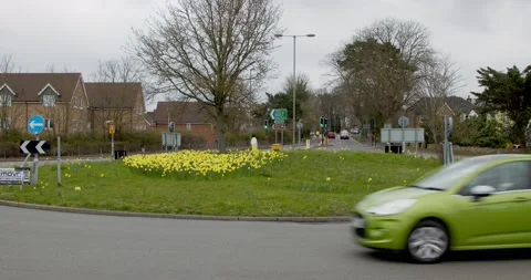 Daffodils heralding the beginning of spring at a roundabout with busy traffic Stock Footage 151747877