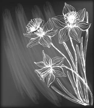 Daffodils Stock Illustration